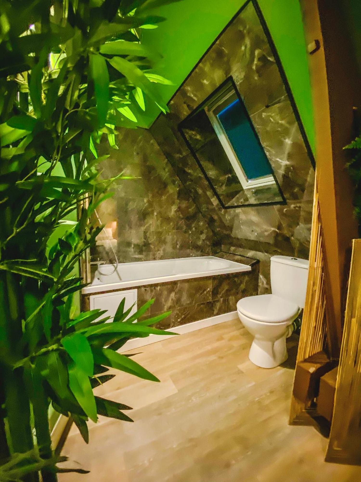 La Kabane , Appartement Proche Centre Et Plage Avec Experience Decoration Jungle Unique 勒波泰勒 外观 照片