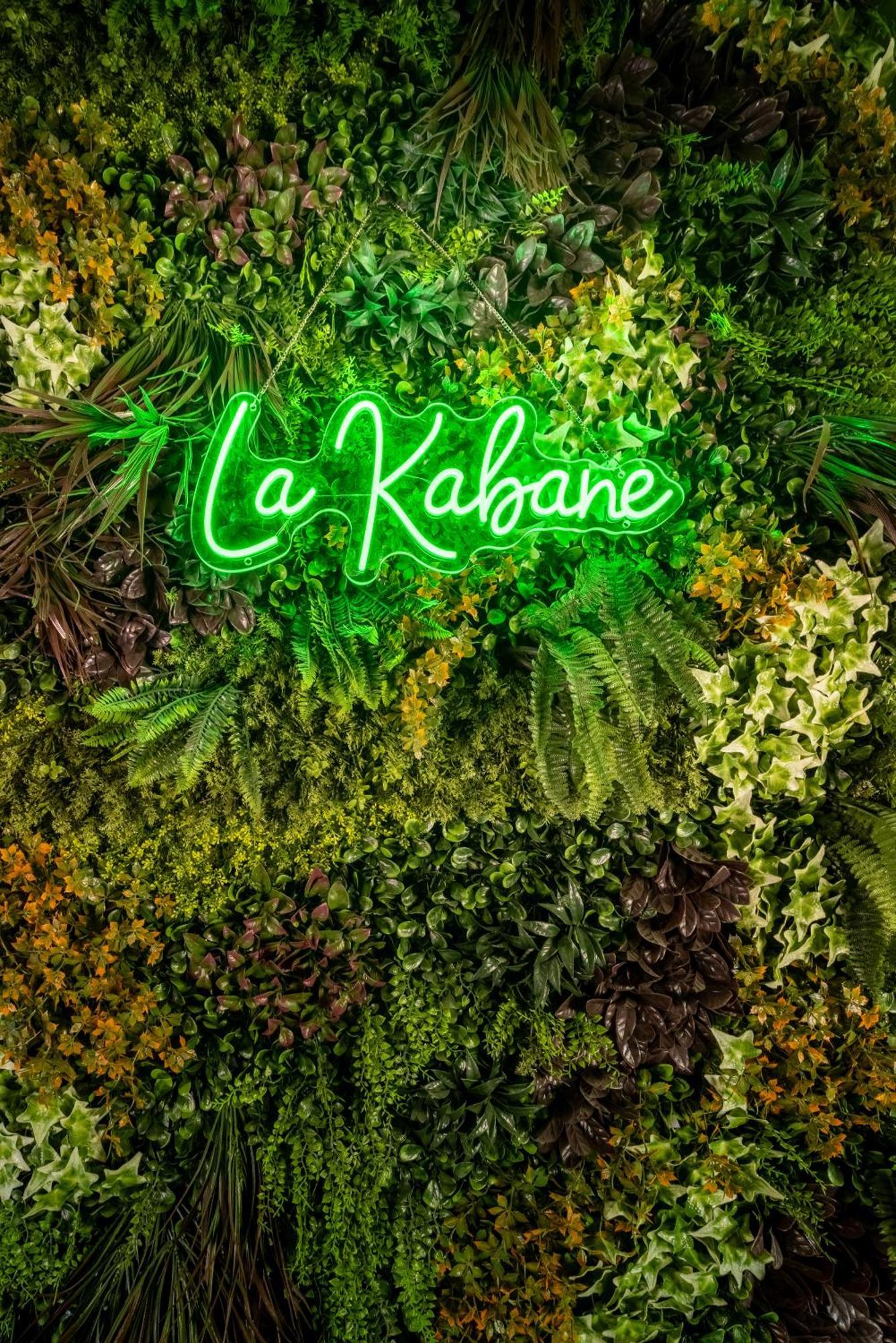 La Kabane , Appartement Proche Centre Et Plage Avec Experience Decoration Jungle Unique 勒波泰勒 外观 照片